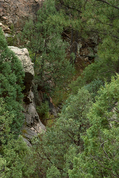 Ravine