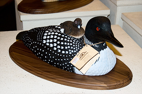 Duck Decoy