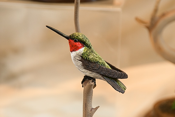 Hummingbird