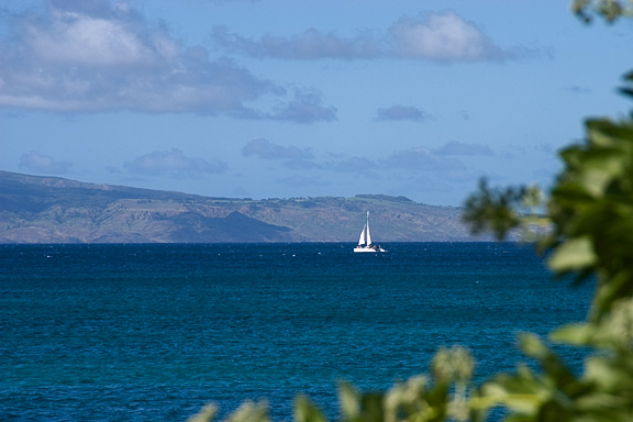 Maui Sailing