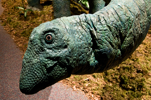 Apatosaurus Momma