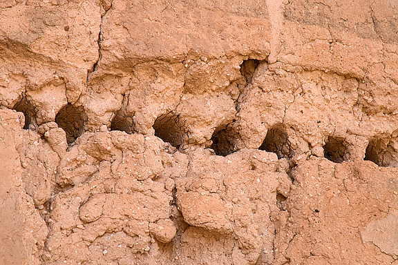 Holes for Roof/Floor