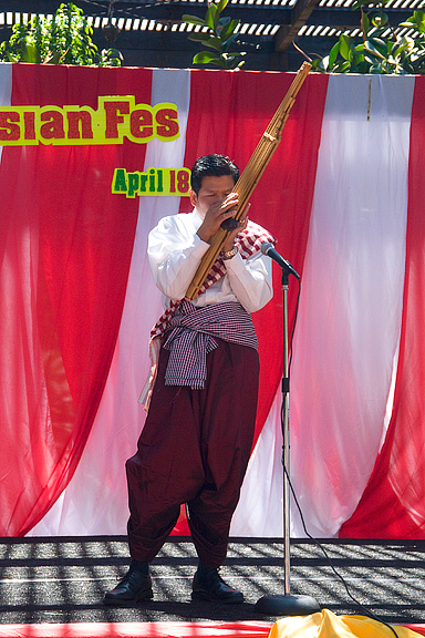 Laotian Flute