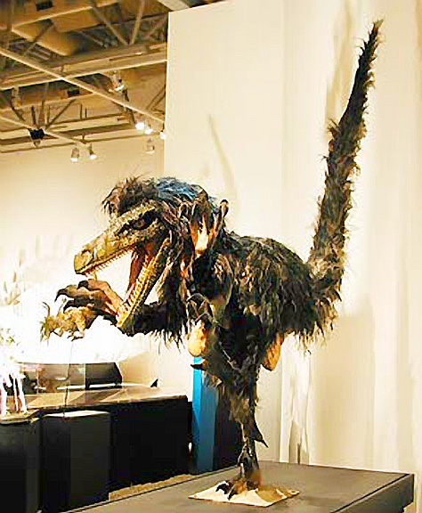 Feathered Velosiraptor