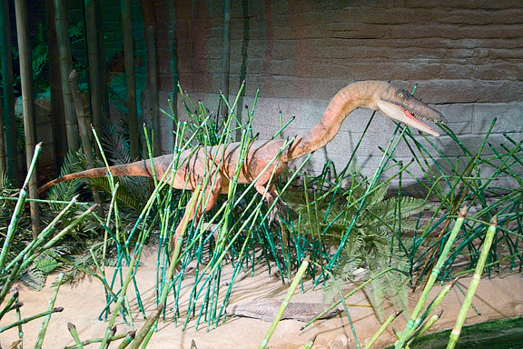 Small dinosaur