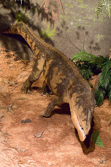 Postosuchus