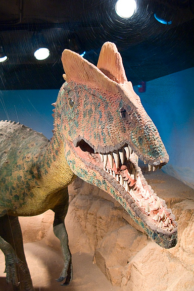 Dilophosaurus