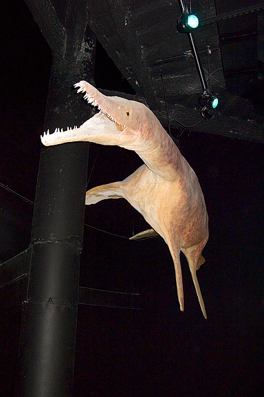 Pliosaurus