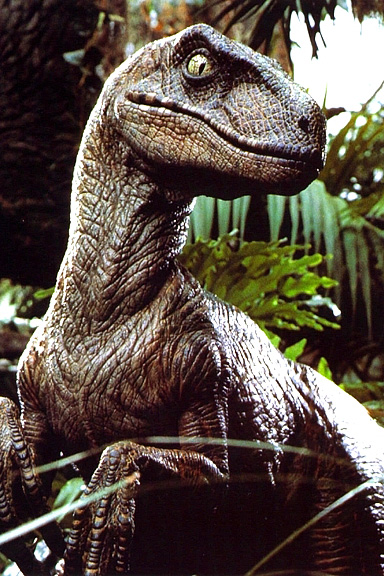 Velociraptor