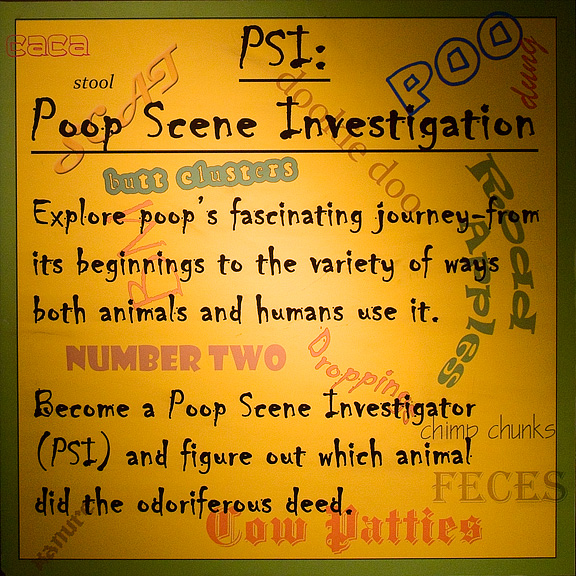 PSI Sign