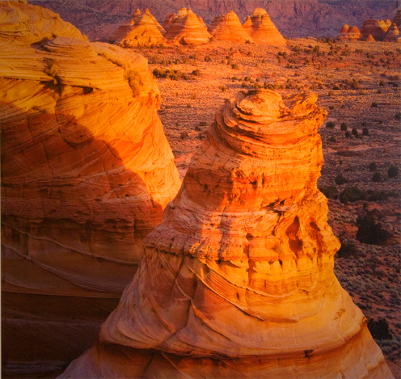 Petrified Dunes