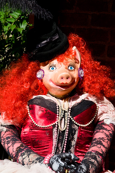 Pig with Lipstick