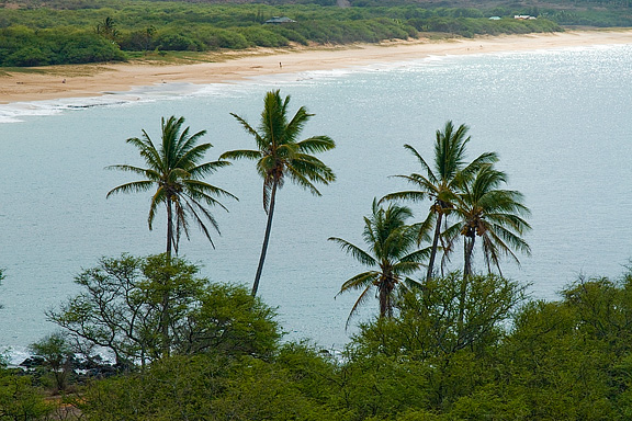 3 Mile Beach