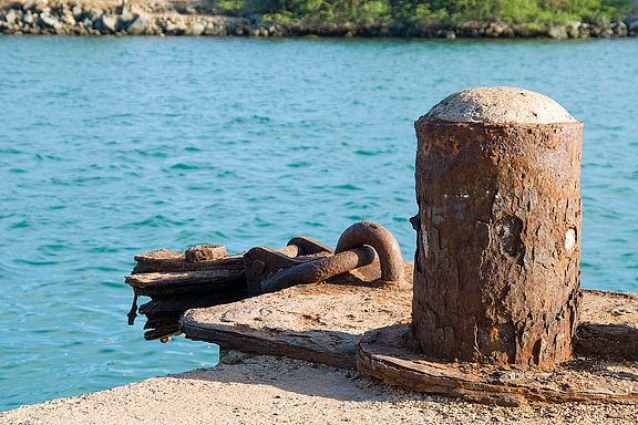 Harbor Piling