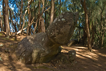 Phallic Rock