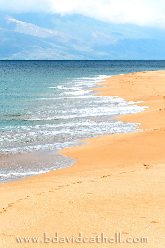 Polihua Beach
